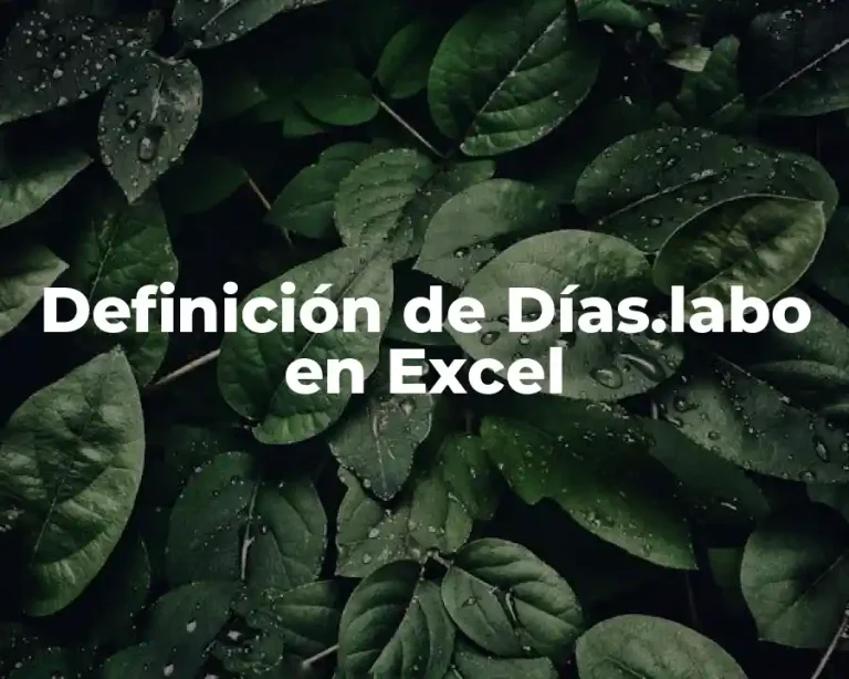 Definición de Días.labo en Excel