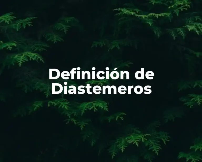 Definición de Diastemeros