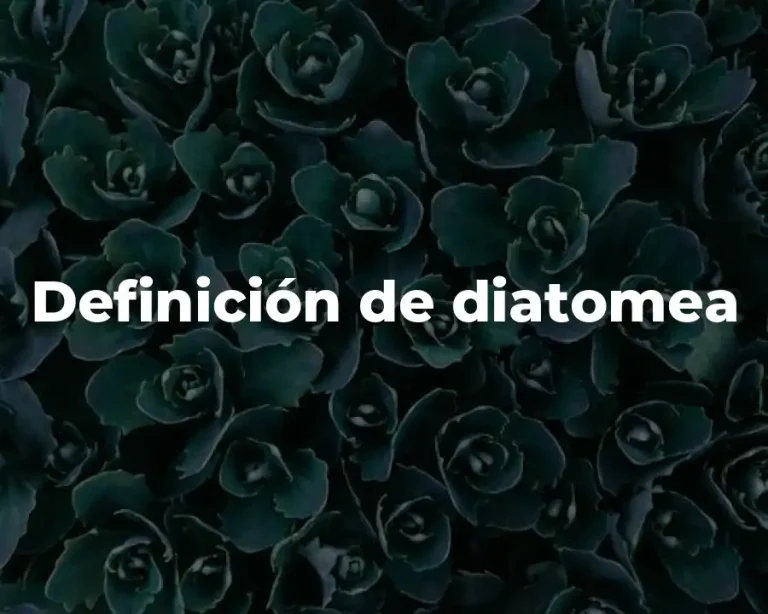 Definición de diatomea