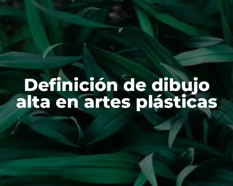 Definición de dibujo alta en artes plásticas