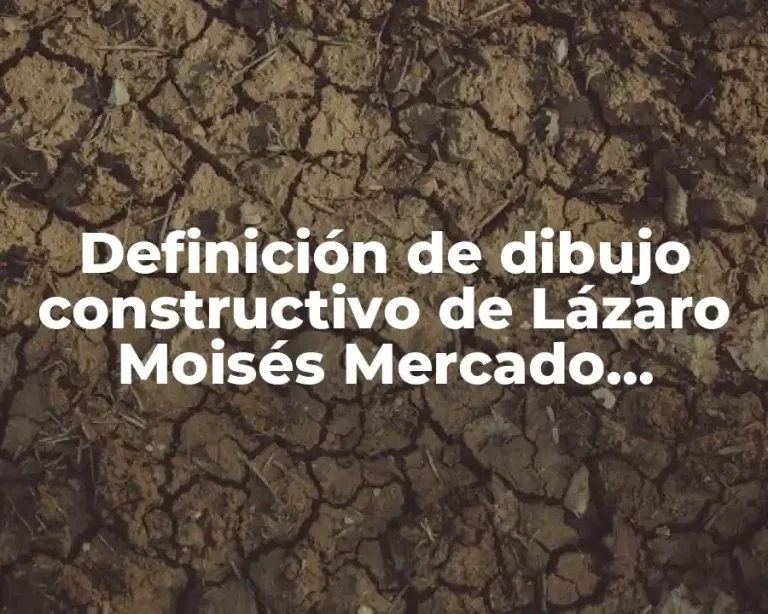 Definición de dibujo constructivo de Lázaro Moisés Mercado Ramírez