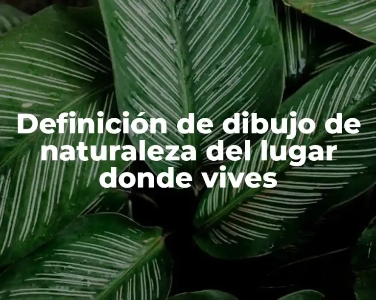 Definición de dibujo de naturaleza del lugar donde vives