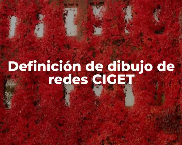 Definición de dibujo de redes CIGET