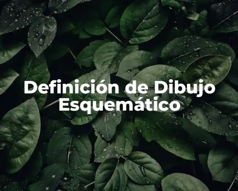 Definición de Dibujo Esquemático