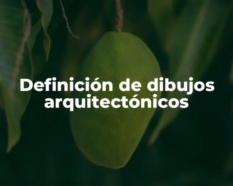 Definición de dibujos arquitectónicos