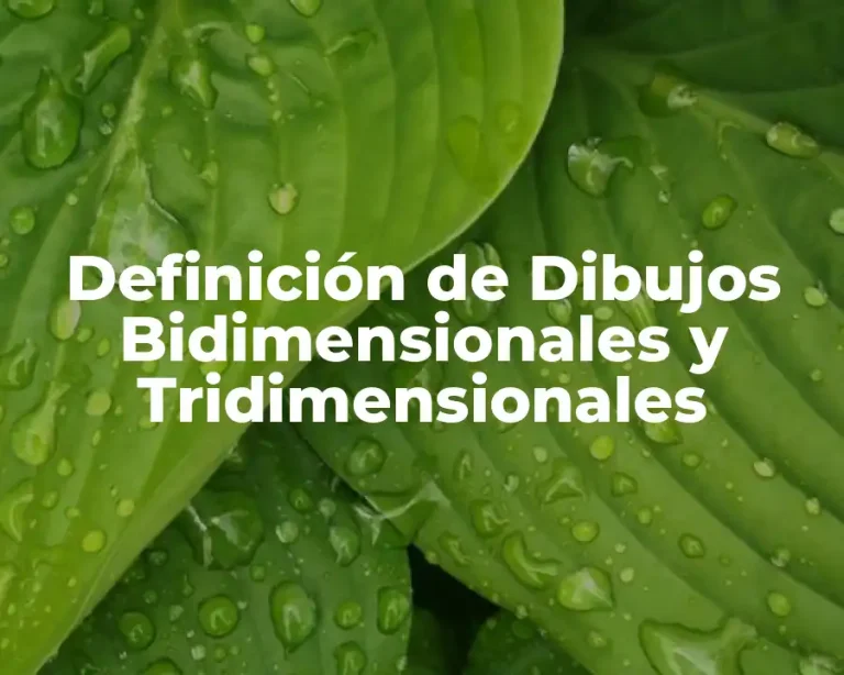 Definición de Dibujos Bidimensionales y Tridimensionales