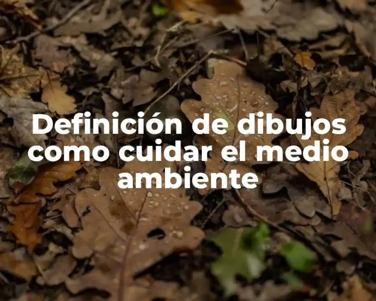Definición de dibujos como cuidar el medio ambiente