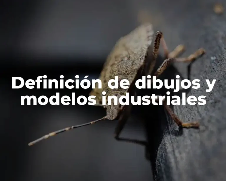 Definición de dibujos y modelos industriales