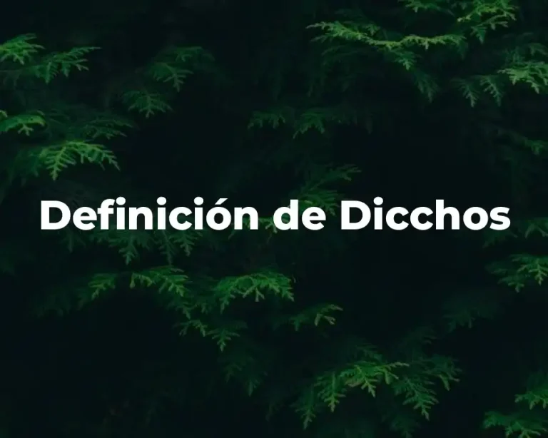 Definición de Dicchos
