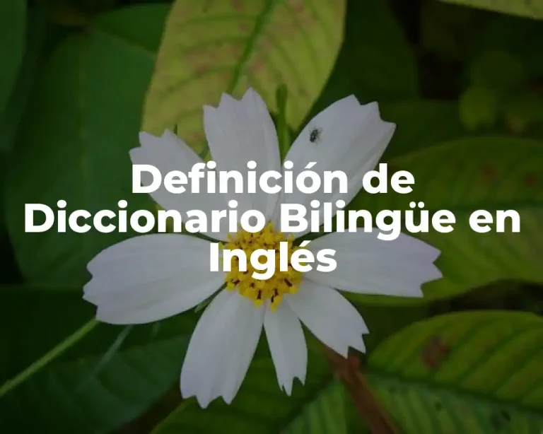 Definición de Diccionario Bilingüe en Inglés