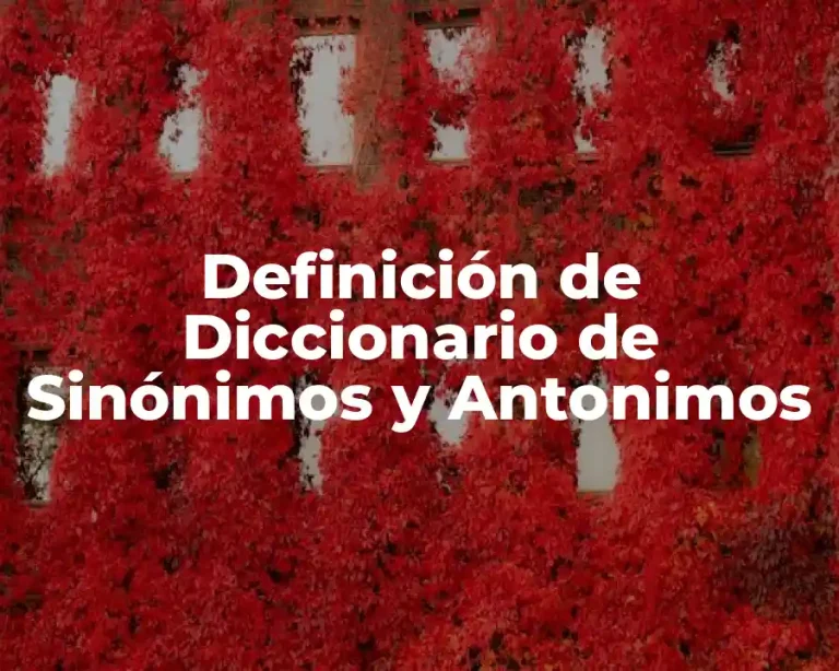 Definición de Diccionario de Sinónimos y Antonimos