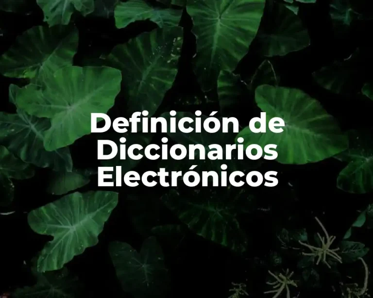 Definición de Diccionarios Electrónicos