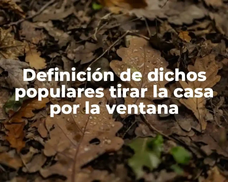 Definición de dichos populares tirar la casa por la ventana