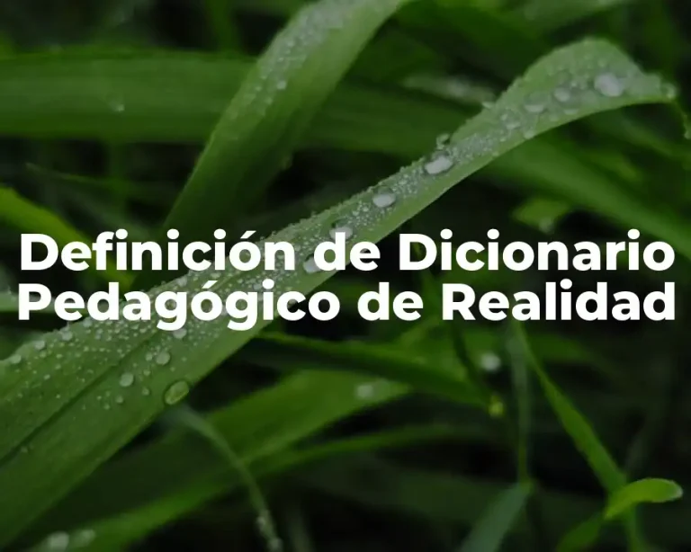 Definición de Dicionario Pedagógico de Realidad