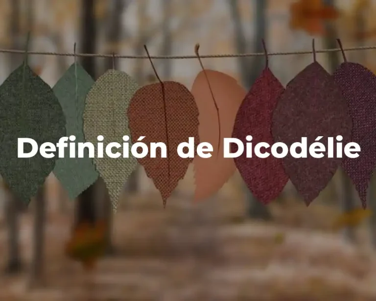Definición de Dicodélie