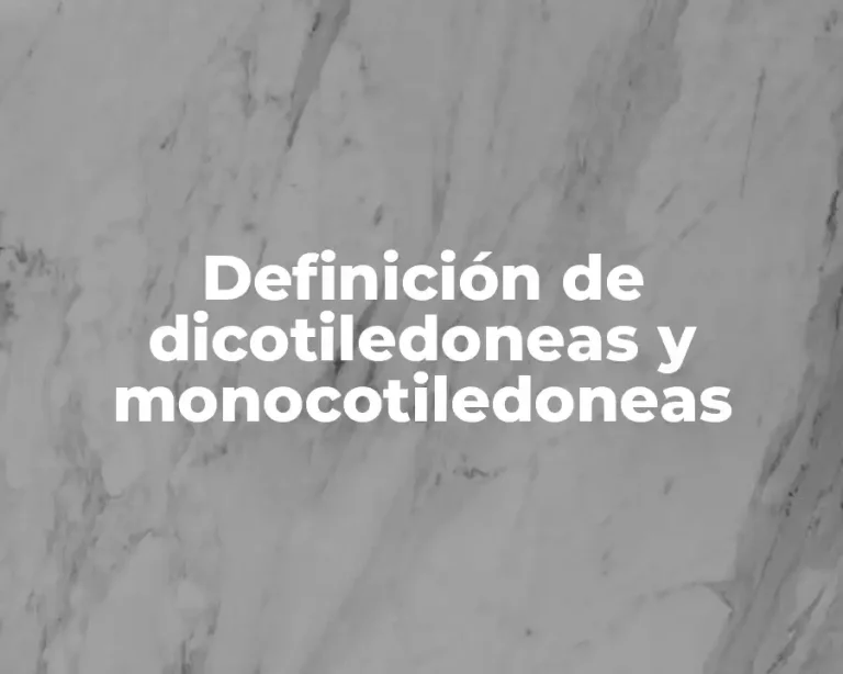 Definición de dicotiledoneas y monocotiledoneas