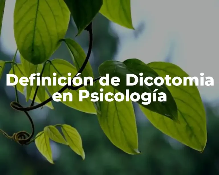 Definición de Dicotomia en Psicología