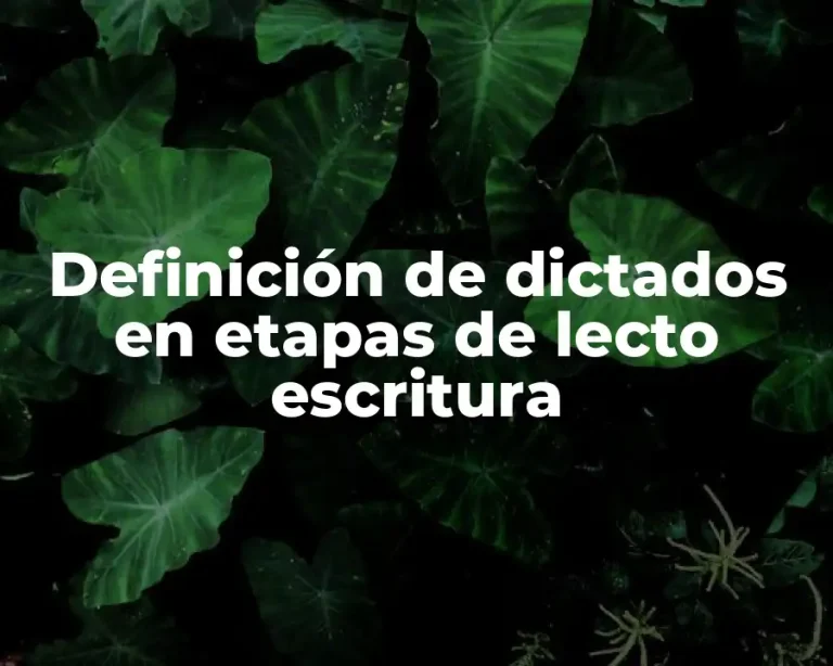 Definición de dictados en etapas de lecto escritura