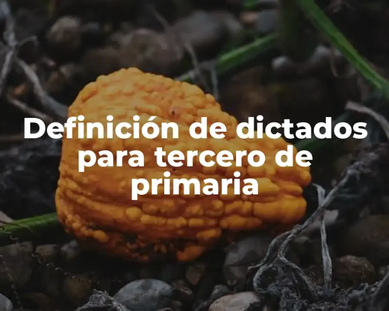 Definición de dictados para tercero de primaria
