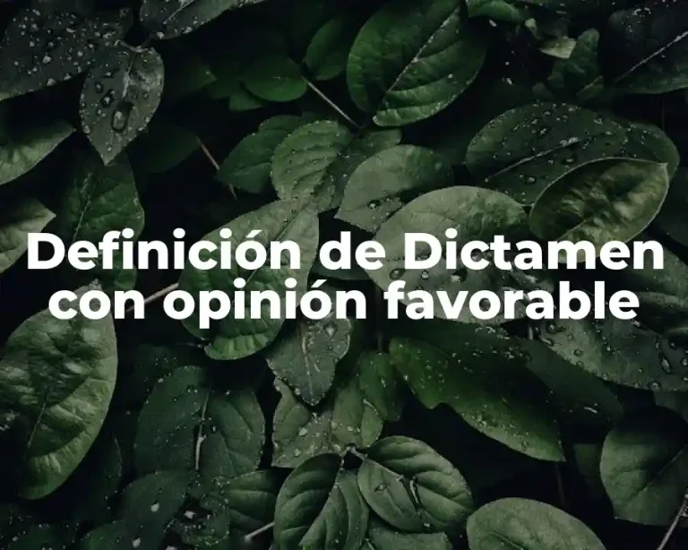 Definición de Dictamen con opinión favorable