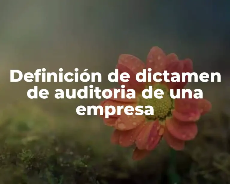 Definición de dictamen de auditoria de una empresa