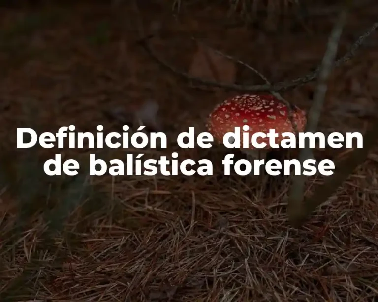Definición de dictamen de balística forense