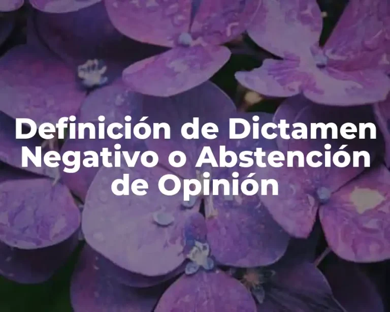 Definición de Dictamen Negativo o Abstención de Opinión