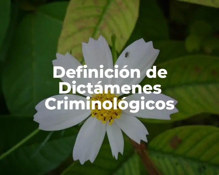 Definición de Dictámenes Criminológicos