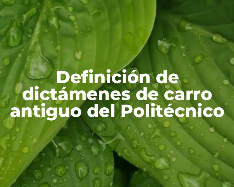 Definición de dictámenes de carro antiguo del Politécnico