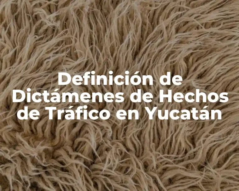 Definición de Dictámenes de Hechos de Tráfico en Yucatán