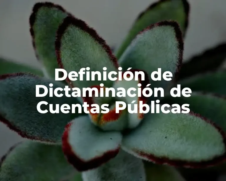 Definición de Dictaminación de Cuentas Públicas