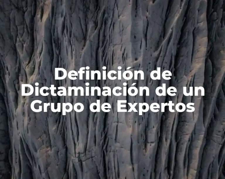 Definición de Dictaminación de un Grupo de Expertos