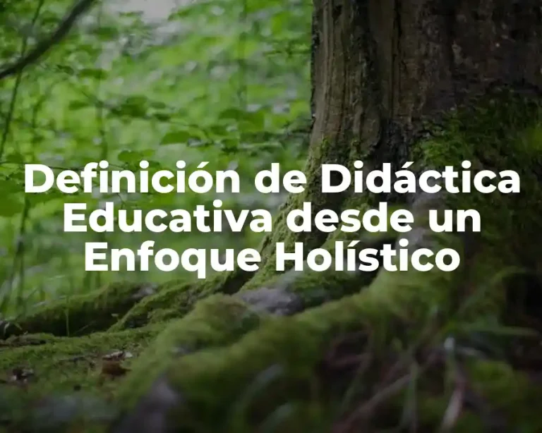 Definición de Didáctica Educativa desde un Enfoque Holístico