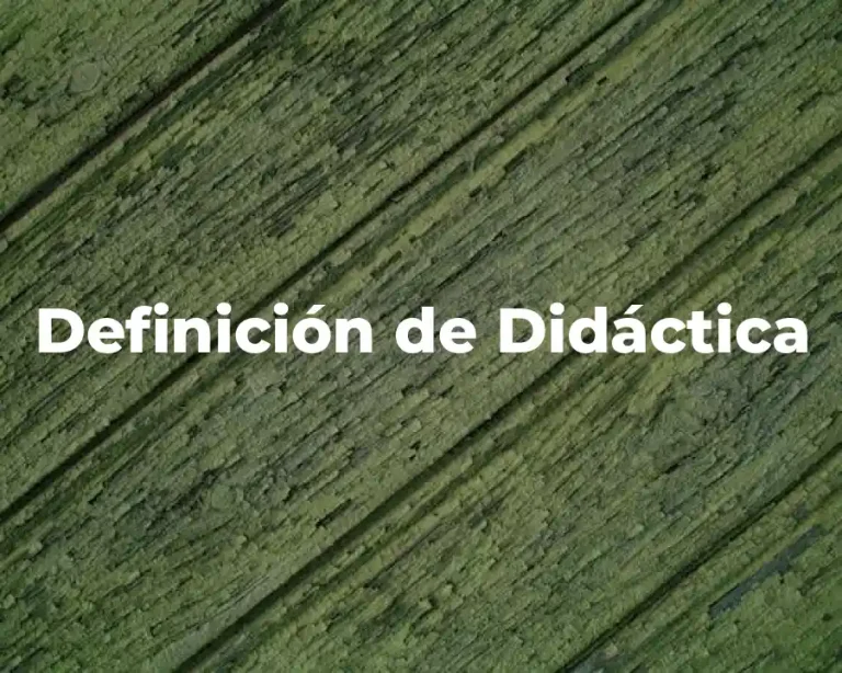 Definición de Didáctica
