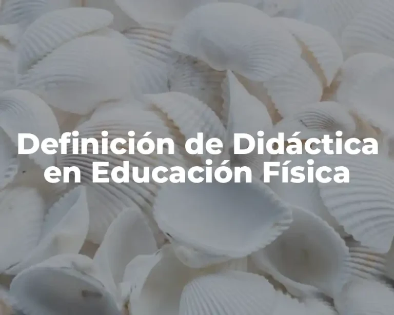 Definición de Didáctica en Educación Física