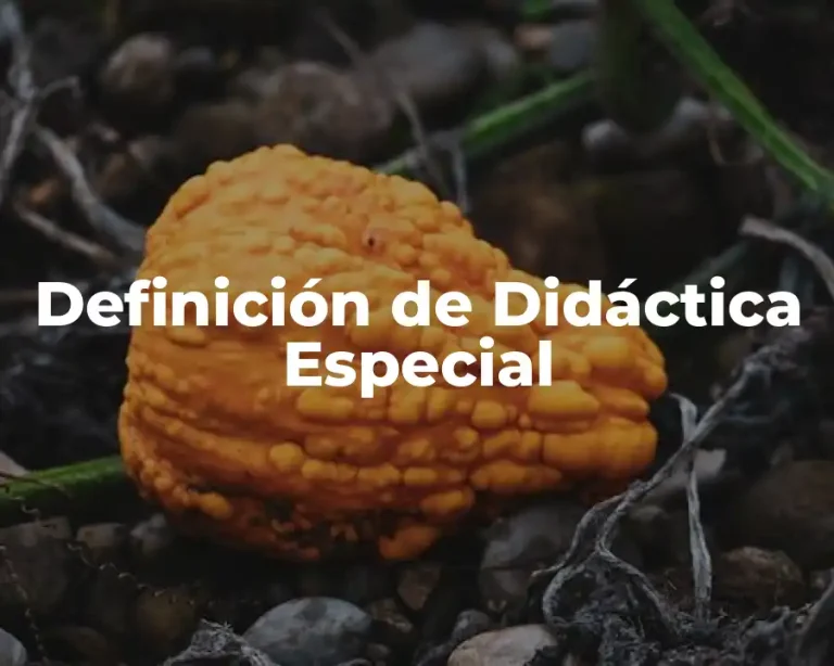 Definición de Didáctica Especial