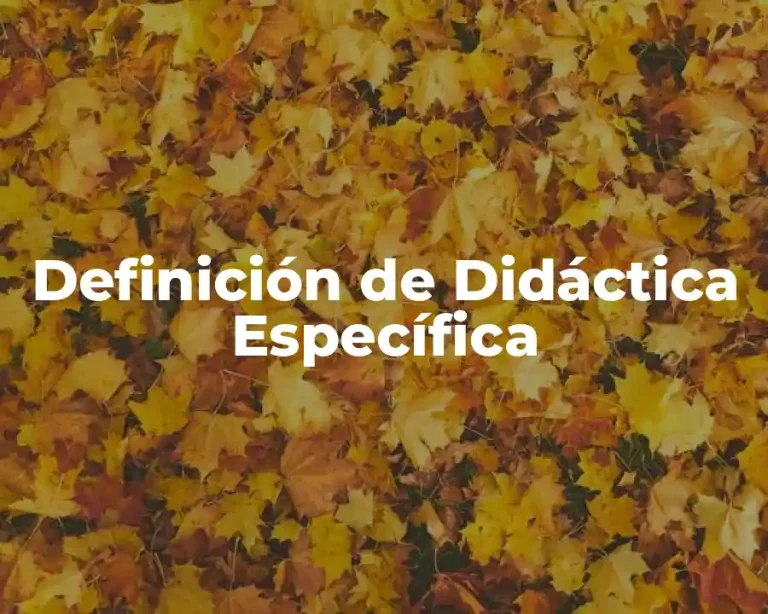 Definición de Didáctica Específica