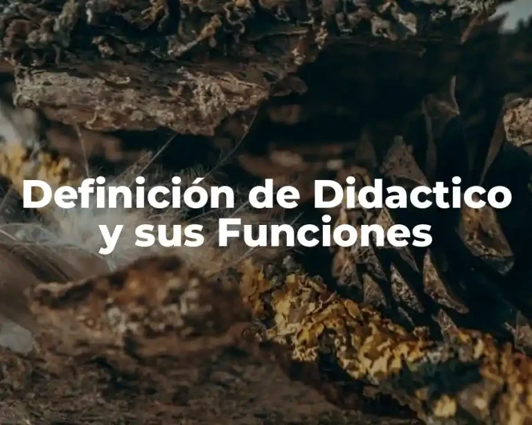 Definición de Didactico y sus Funciones