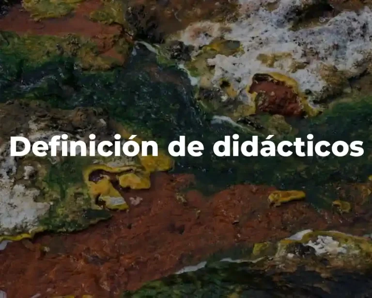 Definición de didácticos