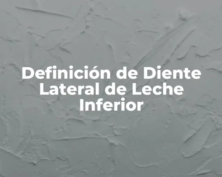 Definición de Diente Lateral de Leche Inferior