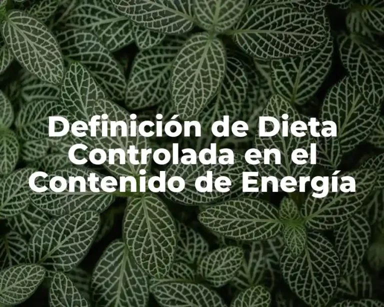Definición de Dieta Controlada en el Contenido de Energía