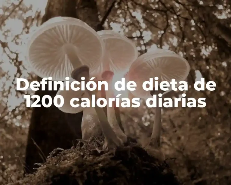 Definición de dieta de 1200 calorías diarias