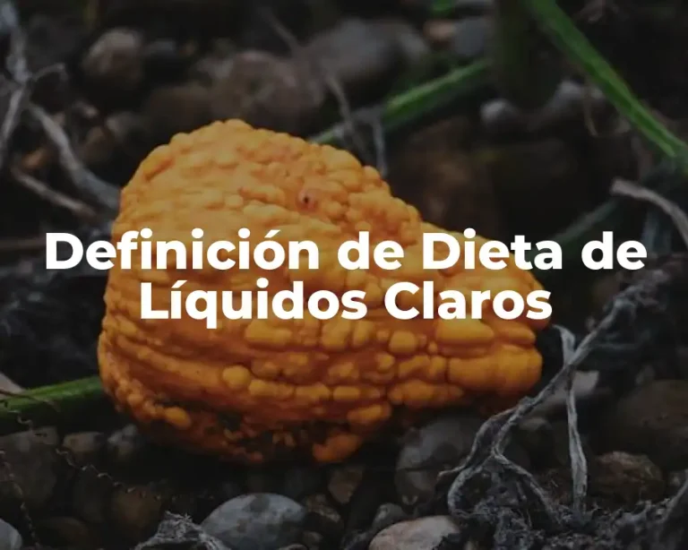 Definición de Dieta de Líquidos Claros