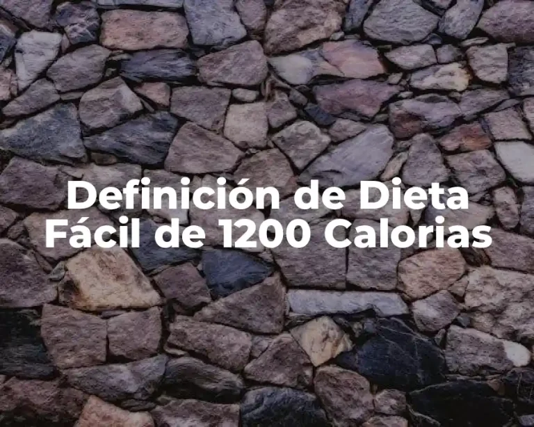 Definición de Dieta Fácil de 1200 Calorias