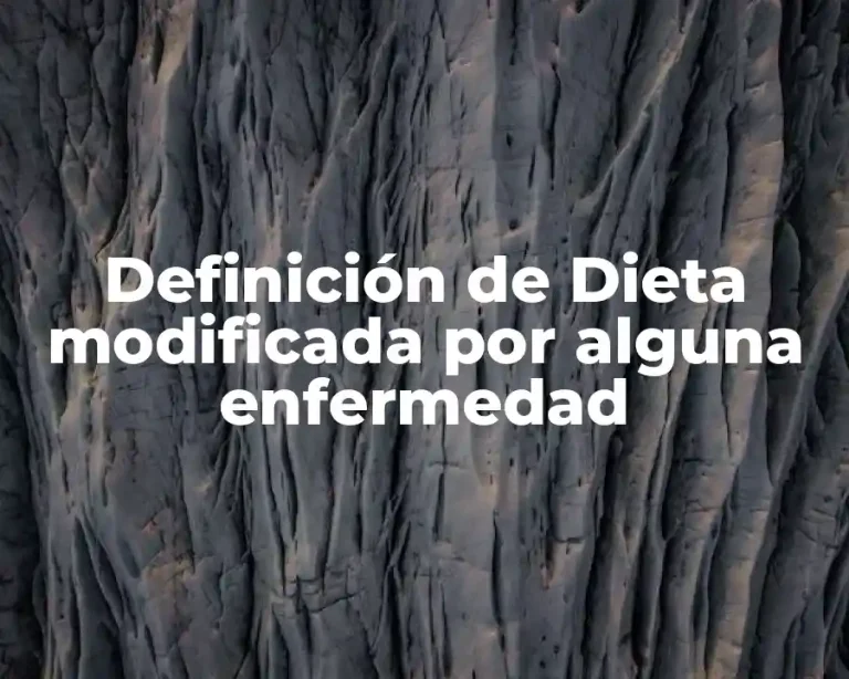 Definición de Dieta modificada por alguna enfermedad