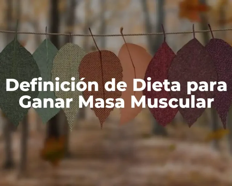 Definición de Dieta para Ganar Masa Muscular