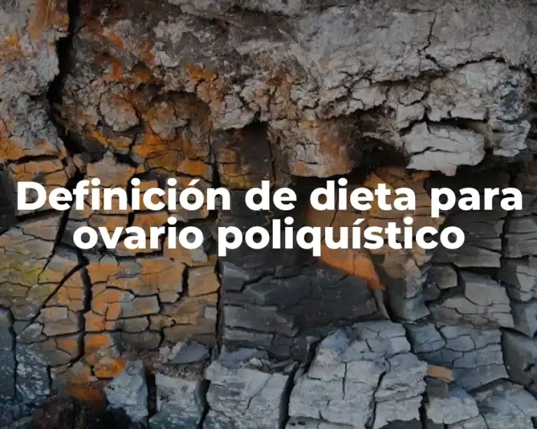 Definición de dieta para ovario poliquístico