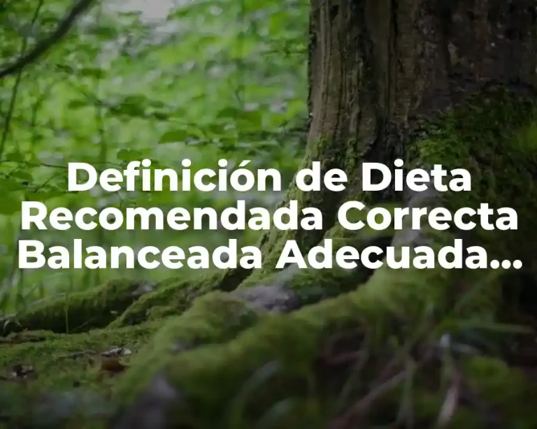 Definición de Dieta Recomendada Correcta Balanceada Adecuada Completa