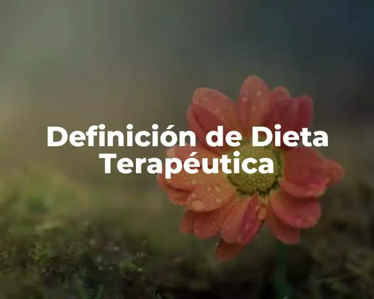 Definición de Dieta Terapéutica