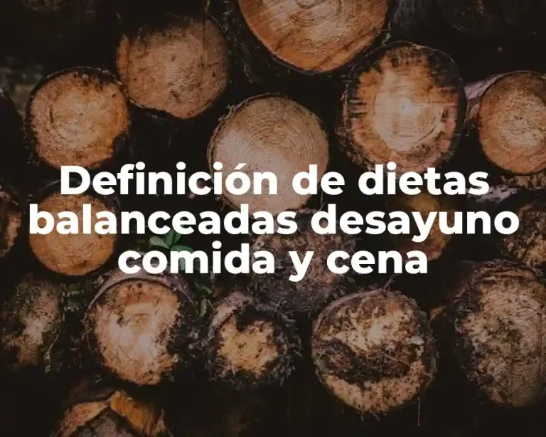 Definición de dietas balanceadas desayuno comida y cena